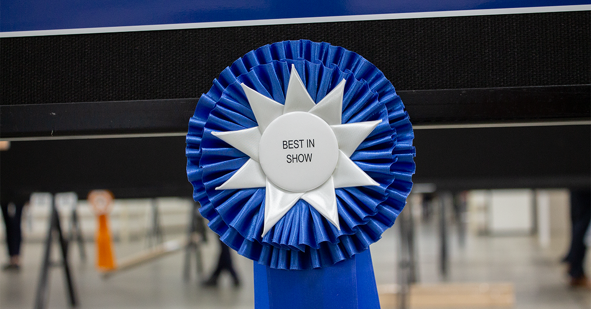 Best in show ribbon